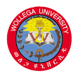 wollega university thesis format